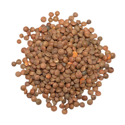 Brown Lentils 2kg